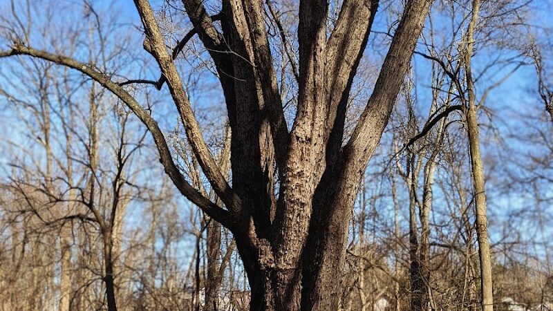 Donatoni Park - Rockaway, NJ