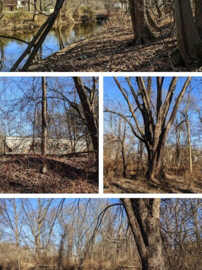 Donatoni Park - Rockaway, NJ