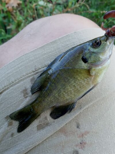 Foxs Lake Dam Park - Rockaway, NJ