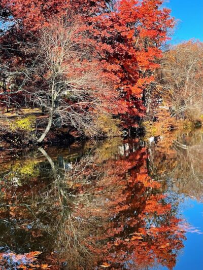 Foxs Lake Dam Park - Rockaway, NJ