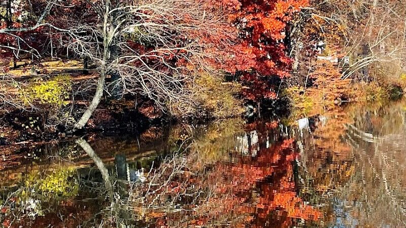 Foxs Lake Dam Park - Rockaway, NJ