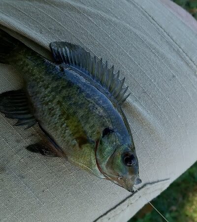 Foxs Lake Dam Park - Rockaway, NJ