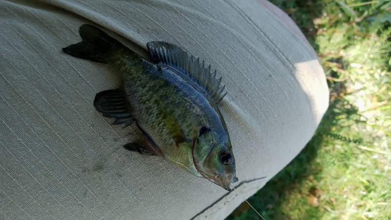 Foxs Lake Dam Park - Rockaway, NJ