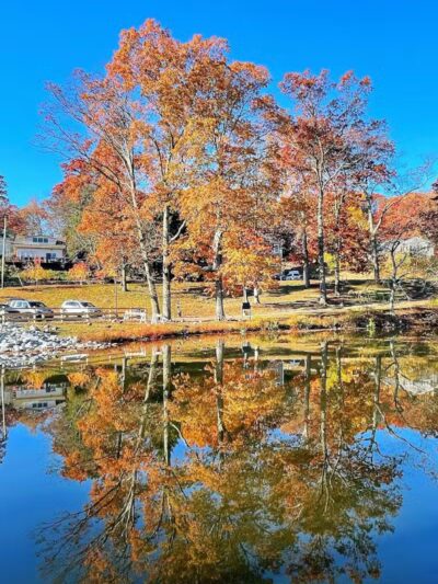 Foxs Lake Dam Park - Rockaway, NJ