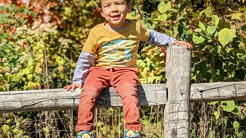 Friendship Field - Rockaway, NJ