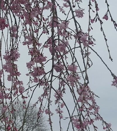 Memorial Park - Rockaway, NJ
