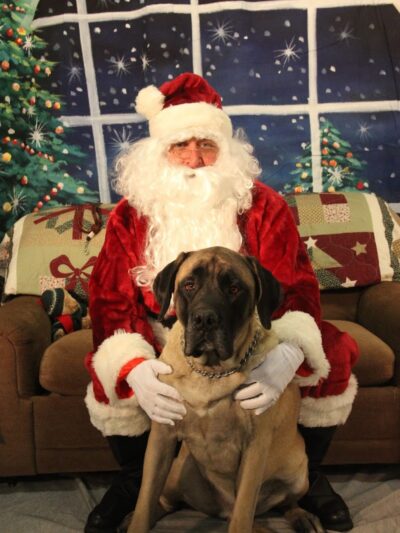 Paws-Itive Experience Pet Services - Rockaway, NJ