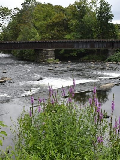 Rockaway Jackson Ave River Park - Rockaway, NJ
