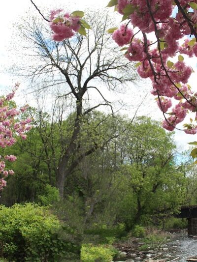 Rockaway Jackson Ave River Park - Rockaway, NJ