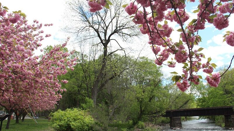 Rockaway Jackson Ave River Park - Rockaway, NJ