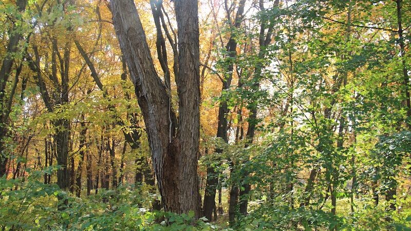Rockaway Jackson Ave River Park - Rockaway, NJ