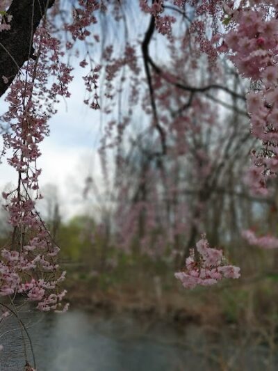 Rockaway Jackson Ave River Park - Rockaway, NJ