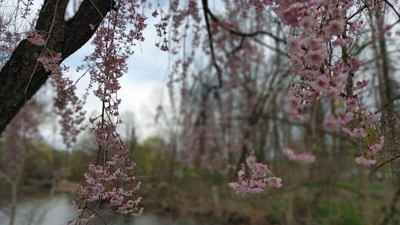 Rockaway Jackson Ave River Park - Rockaway, NJ