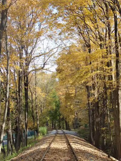 Rockaway Jackson Ave River Park - Rockaway, NJ