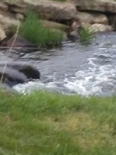 White Meadow Lake Softball Fields - Rockaway, NJ