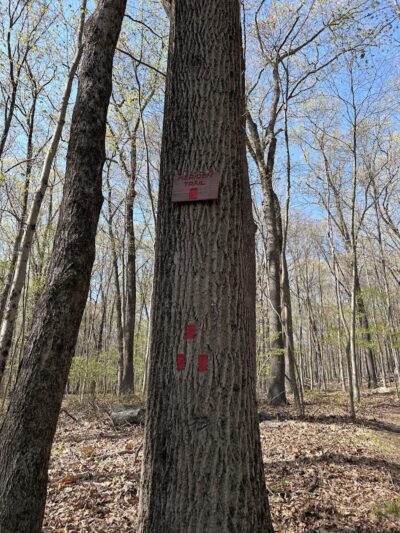 Hawk watch trailhead - Rockaway Township, NJ