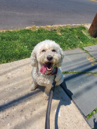 Hawk watch trailhead - Rockaway Township, NJ