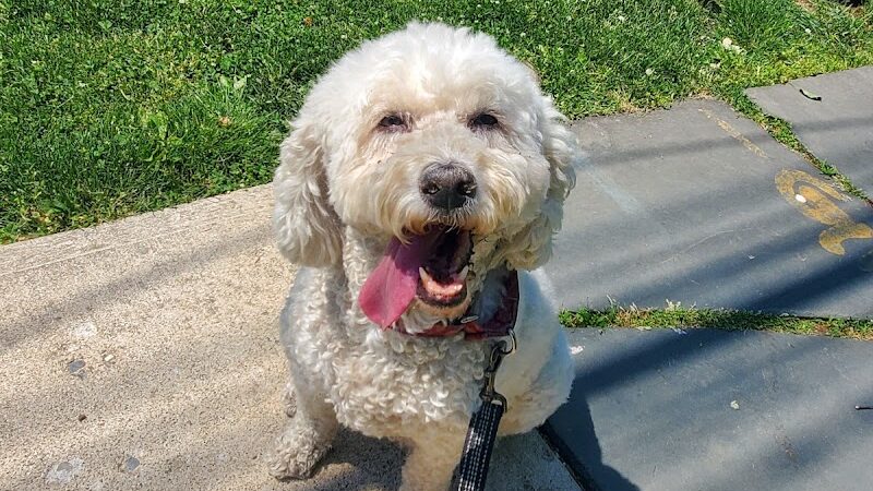 Hawk watch trailhead - Rockaway Township, NJ