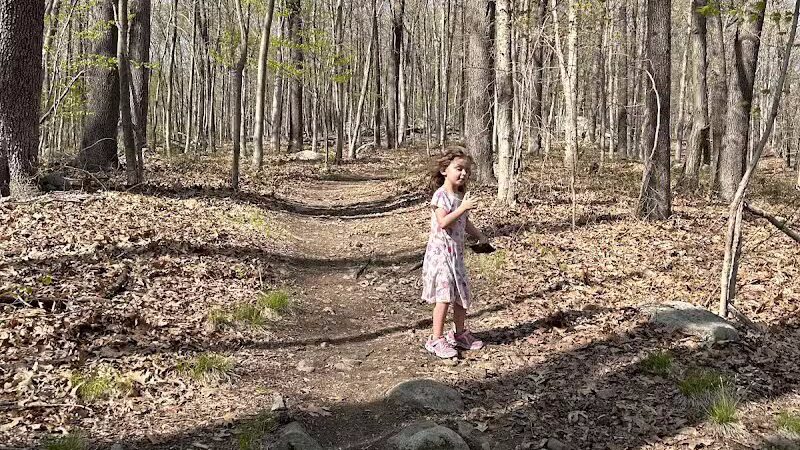Hawk watch trailhead - Rockaway Township, NJ