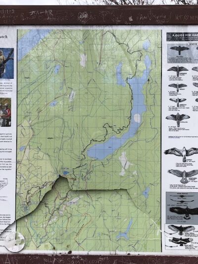 Hawkwatch - Rockaway Township, NJ