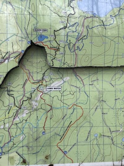 Hawkwatch - Rockaway Township, NJ