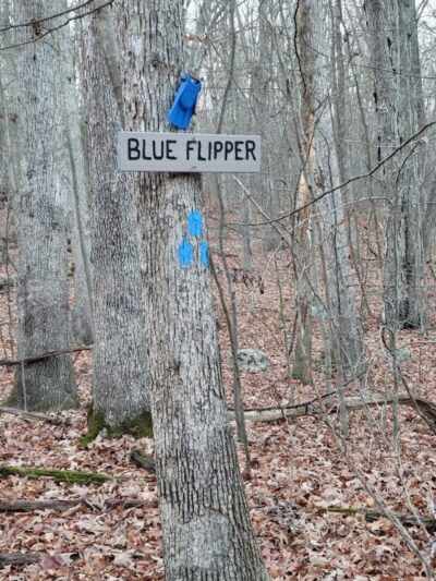 Hawkwatch - Rockaway Township, NJ