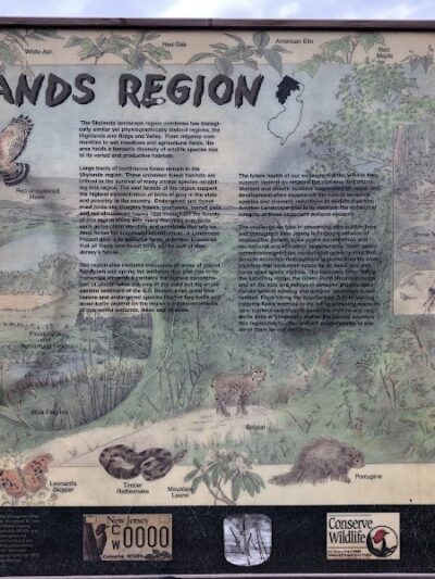 Hawkwatch - Rockaway Township, NJ