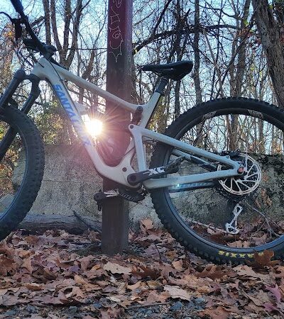 Hawkwatch - Rockaway Township, NJ