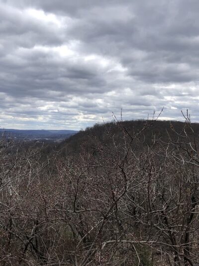 Hawkwatch - Rockaway Township, NJ