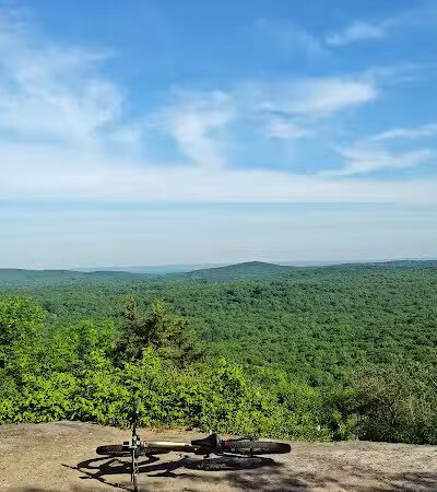 Hawkwatch - Rockaway Township, NJ