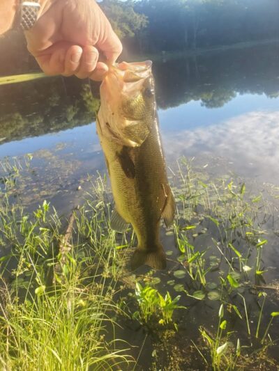 Lake Ames Park - Rockaway Township, NJ