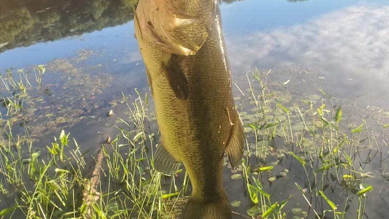 Lake Ames Park - Rockaway Township, NJ