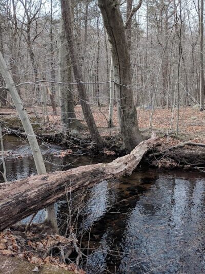 Lake Ames Park - Rockaway Township, NJ