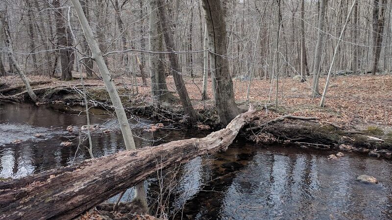 Lake Ames Park - Rockaway Township, NJ
