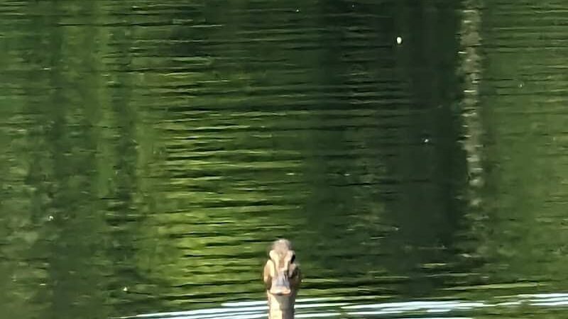 Lake Ames Park - Rockaway Township, NJ