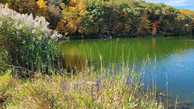 Mount Hope Pond Swimming Area - Rockaway Township, NJ
