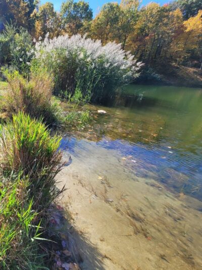 Mount Hope Pond Swimming Area - Rockaway Township, NJ