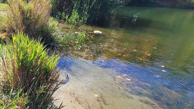 Mount Hope Pond Swimming Area - Rockaway Township, NJ