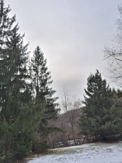 Mount Hope Pond Swimming Area - Rockaway Township, NJ