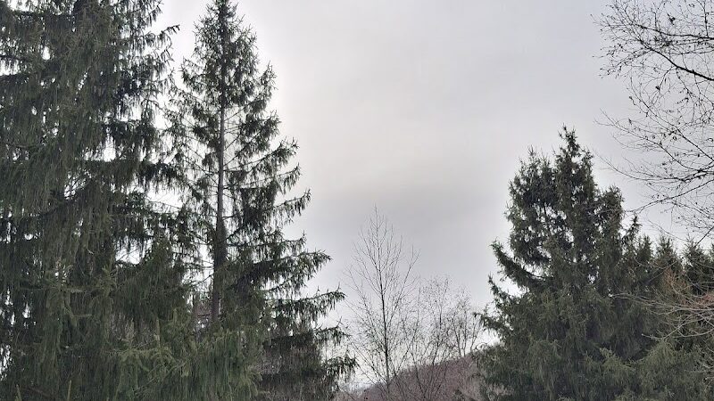 Mount Hope Pond Swimming Area - Rockaway Township, NJ