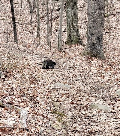 Wildcat Ridge - Rockaway Township, NJ