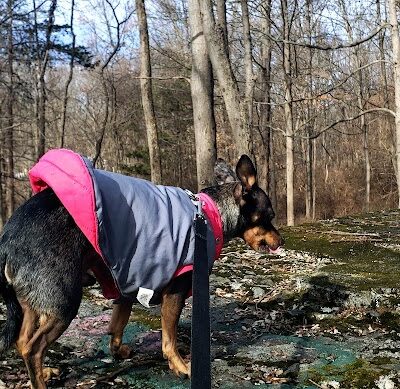 Wildcat Ridge - Rockaway Township, NJ