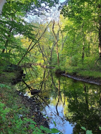 Wildcat Ridge - Rockaway Township, NJ