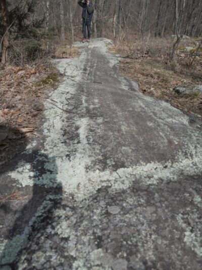 Wildcat Ridge - Rockaway Township, NJ