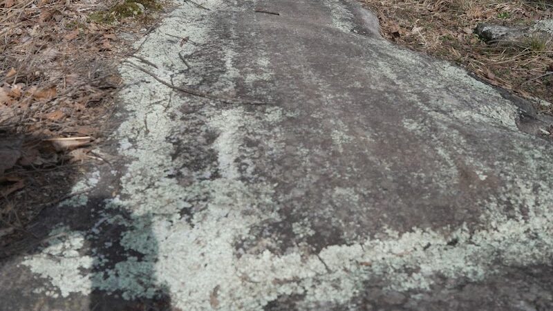 Wildcat Ridge - Rockaway Township, NJ