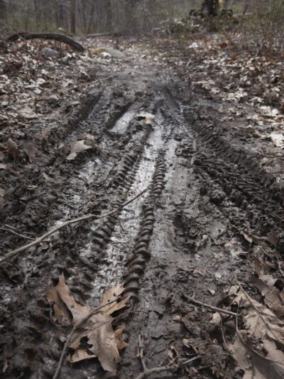 Wildcat Ridge - Rockaway Township, NJ