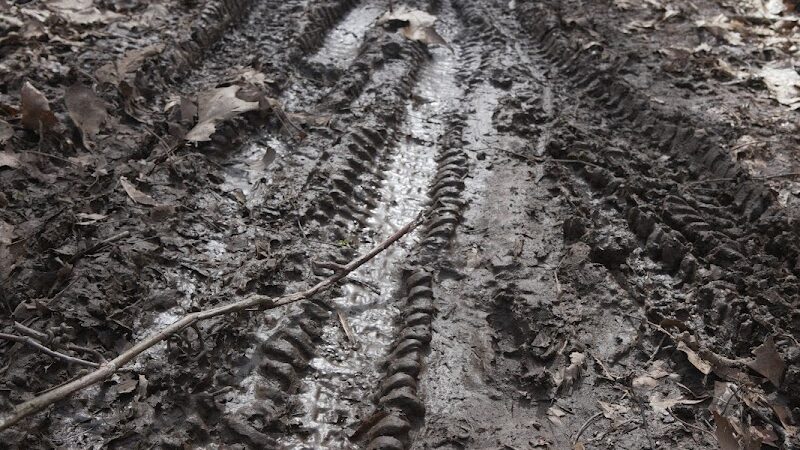 Wildcat Ridge - Rockaway Township, NJ