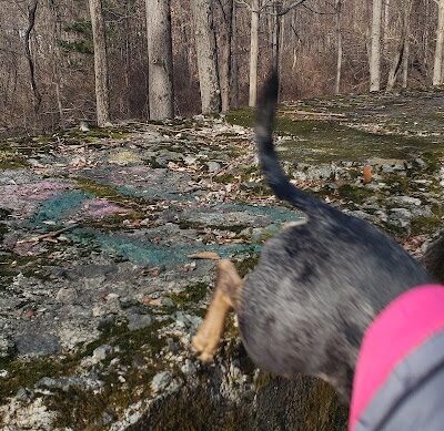 Wildcat Ridge - Rockaway Township, NJ