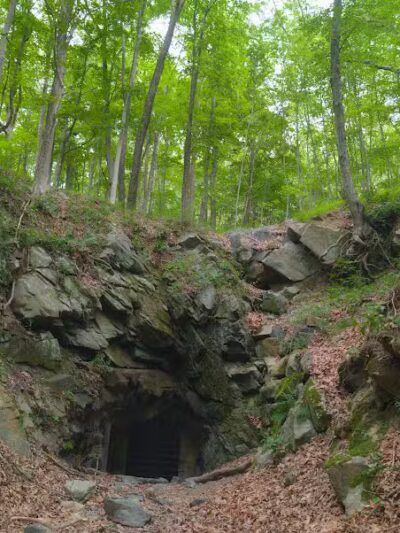 Wildcat Ridge - Rockaway Township, NJ