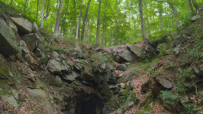 Wildcat Ridge - Rockaway Township, NJ